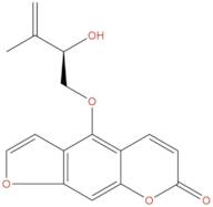 Pangelin