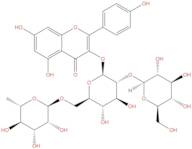 Kaempferol-3-O-(2''-O-β-D-glucopyl)-β-D-rutinoside