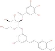 Rhaponticin 2''-O-gallate