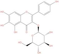 6-Hydroxykaempferol 3-O-β-D-glucoside