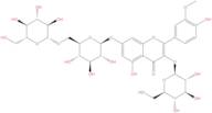 Isorhamnetin 3-O-β-D-glucose-7-O-β-D-gentiobioside