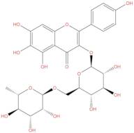 6-Hydroxykaempferol 3-β-rutinoside