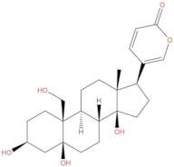 Hellebrigenol