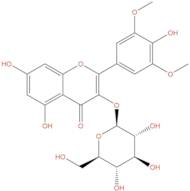 Syringetin 3-O-β-D-glucoside