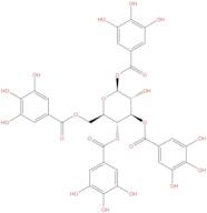 1,3,4,6-Tetra-O-galloylglucose