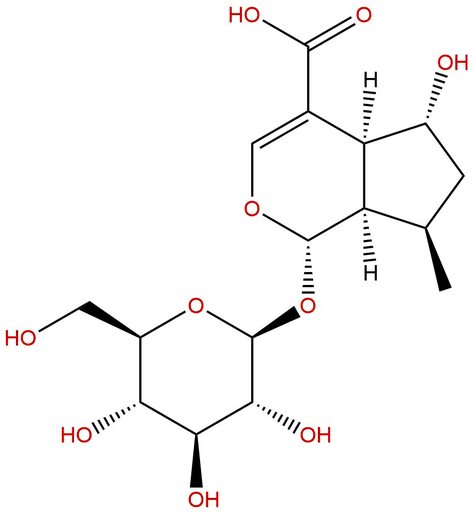 8-Dehydroxy shanzhiside