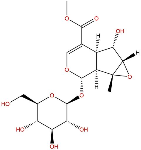 Phlorigidoside C