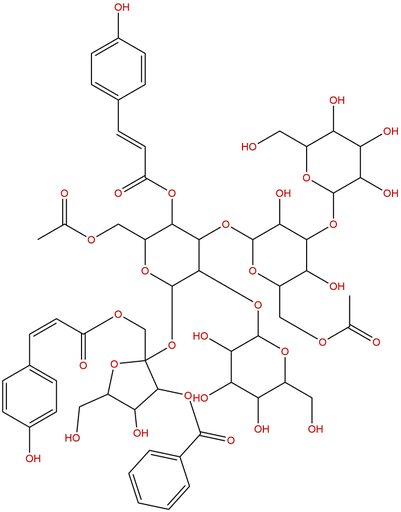 Tenuifoliose J