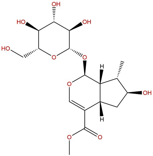 8-Epiloganin