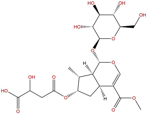 Logmalicids B