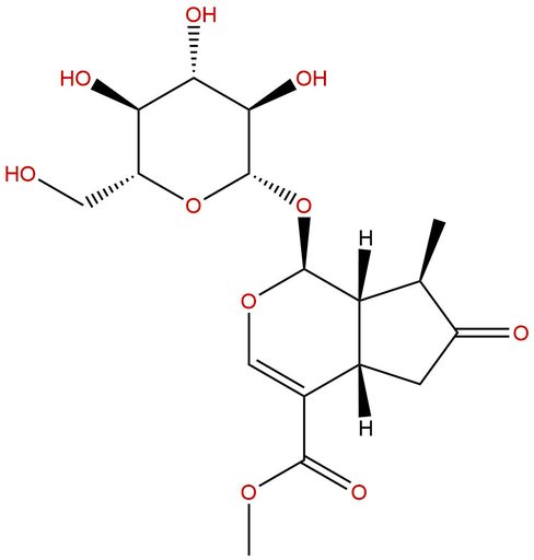 7-Ketologanin