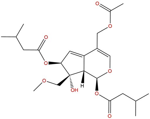 Valeriandoid F