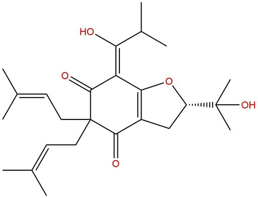 Garcinielliptone HD