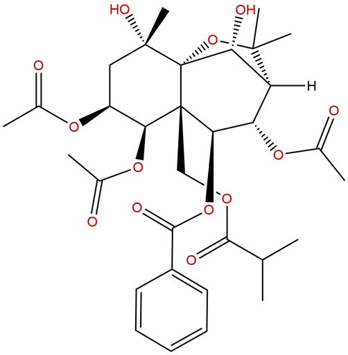 Celangulatin C