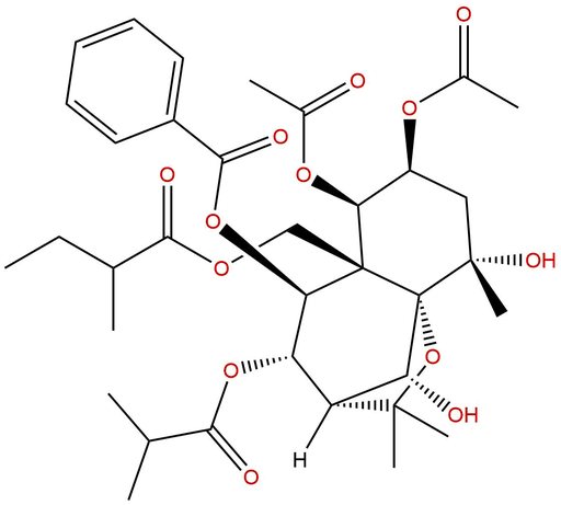Angulatin E