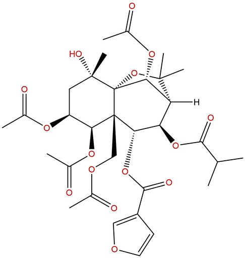 Angulatin G