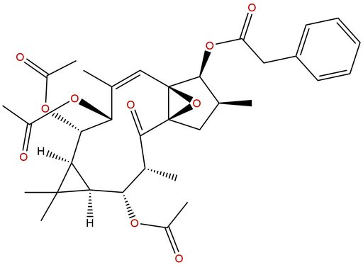 Ingol-7,8,12-triacetate-3-phenylacetate