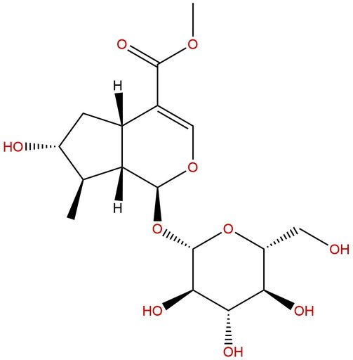 7-Epiloganin