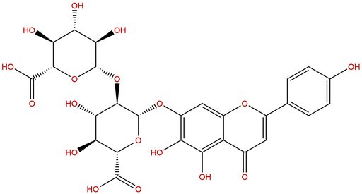Scutellarin-7-diglucosidic acid