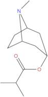 Tropine isobutyrate