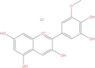 Petunidin chloride