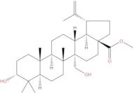 3,27-Dihydroxy-20(29)-lupen-28-oic acid methyl ester