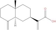 β-Costic acid