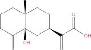 5β-Hydroxycostic acid