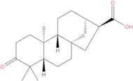 ent-3-Oxokauran-17-oic acid