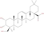 2α,3α,24-Trihydroxyolean-12-en-28-oic acid