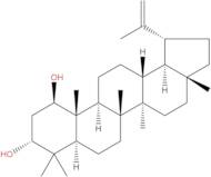 Glochidiol