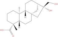 ent-16β,17-Dihydroxykauran-19-oic acid