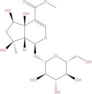 6β-Hydroxyipolamiide