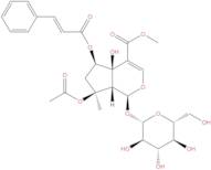 6-O-trans-Cinnamoylphlorigidoside B