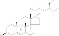 Schleicheol 2