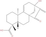 Pterisolic acid C