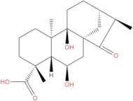 Pterisolic acid D