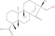 Pterisolic acid F