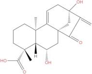 Pterisolic acid A