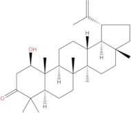 Glochidonol