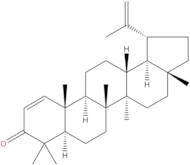 Glochidone