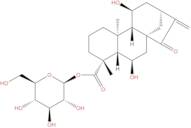 6β-Hydroxypaniculoside III