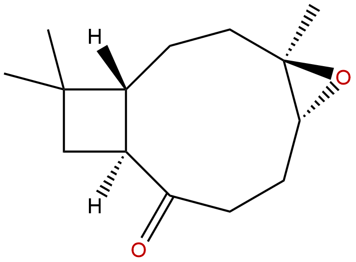 Kobusone