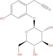 Ehretioside B