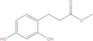 Methyl 3-(2,4-dihydroxyphenyl)propionate