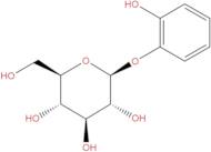 Pyrocatechol monoglucoside