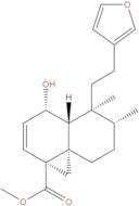 Methyl dodonate A