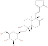 14-Deoxy-11,12-didehydroandrographiside