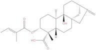 3α-Tigloyloxypterokaurene L3