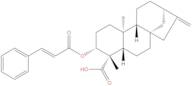 ent-3β-Cinnamoyloxykaur-16-en-19-oic acid